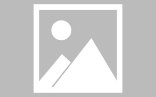 高安网站建设许昌论坛（许昌网站seo）